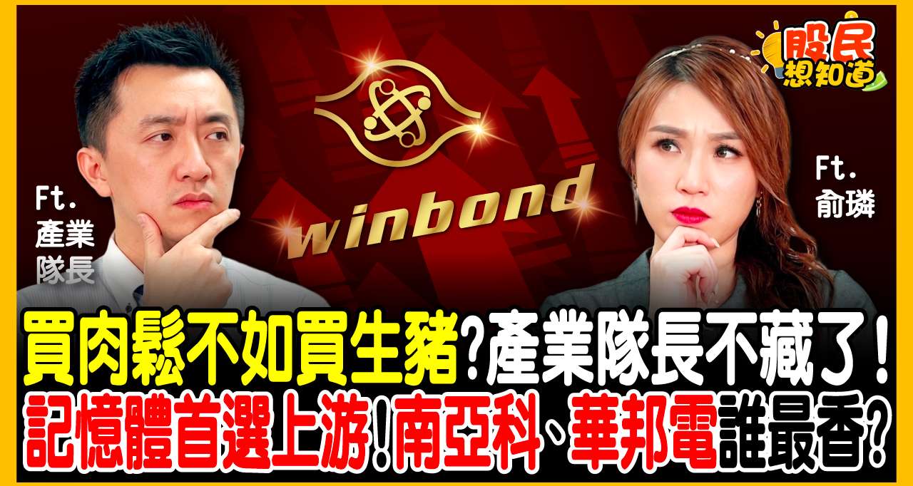 記憶體漲價潮還沒完？「做肉鬆的」比不過「養豬的」！產業隊長點名 3 檔龍頭股：本益比太委屈，震盪盤這樣選！