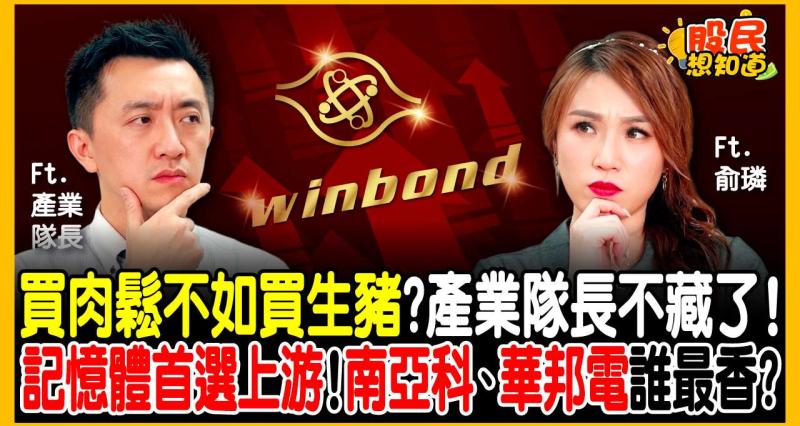 記憶體漲價潮還沒完？「做肉鬆的」比不過「養豬的」！產業隊長點名 3 檔龍頭股：本益比太委屈，震盪盤這樣選！