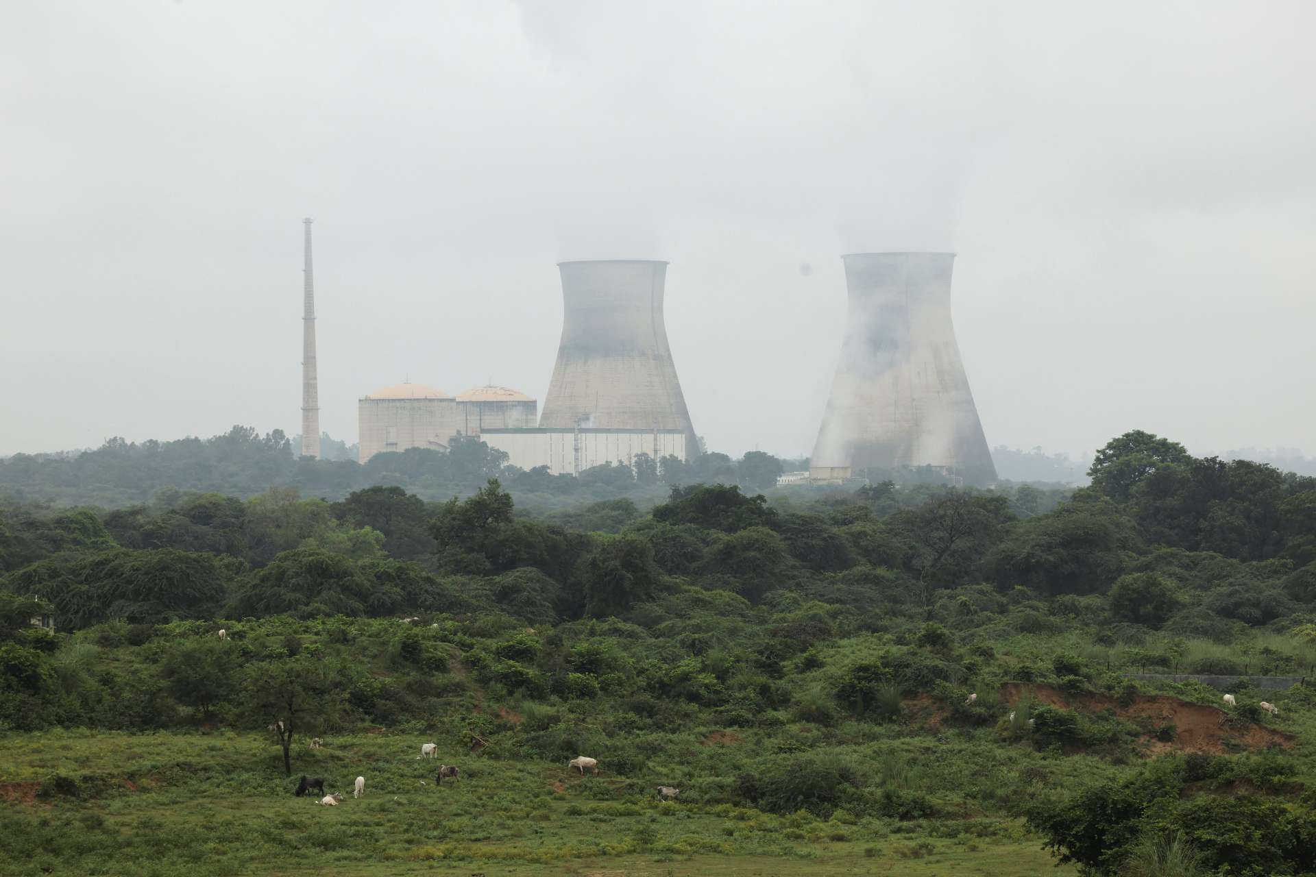 印度核電擴張加速　2047年裝置容量目標100 GW、9座反應爐正在興建