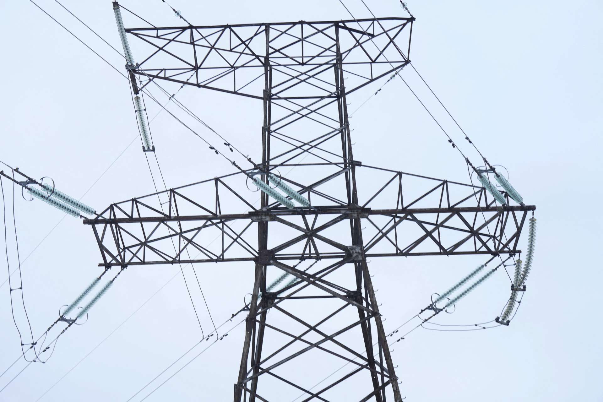 中興電印度布局再受關注：昔日GIS合作夥伴上市，當地重電訂單能見度拉長