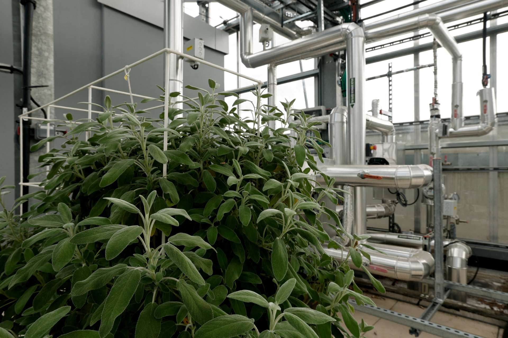 資料中心機房與線纜資料照，示意冷卻需求，非Carrier設備或新廠。