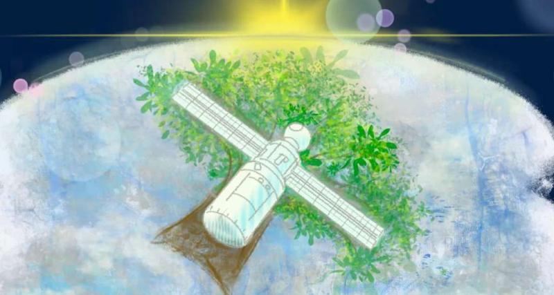 衛星｜太空與森林的相遇——LignoSat木製衛星飛向星辰大海