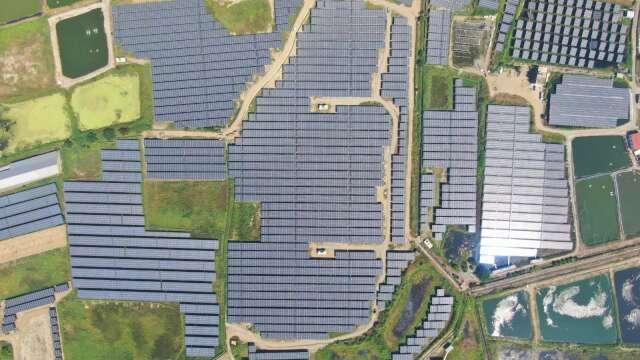雲豹能源拿下國內今年最大光電交易 187MW案場助攻發電量翻倍