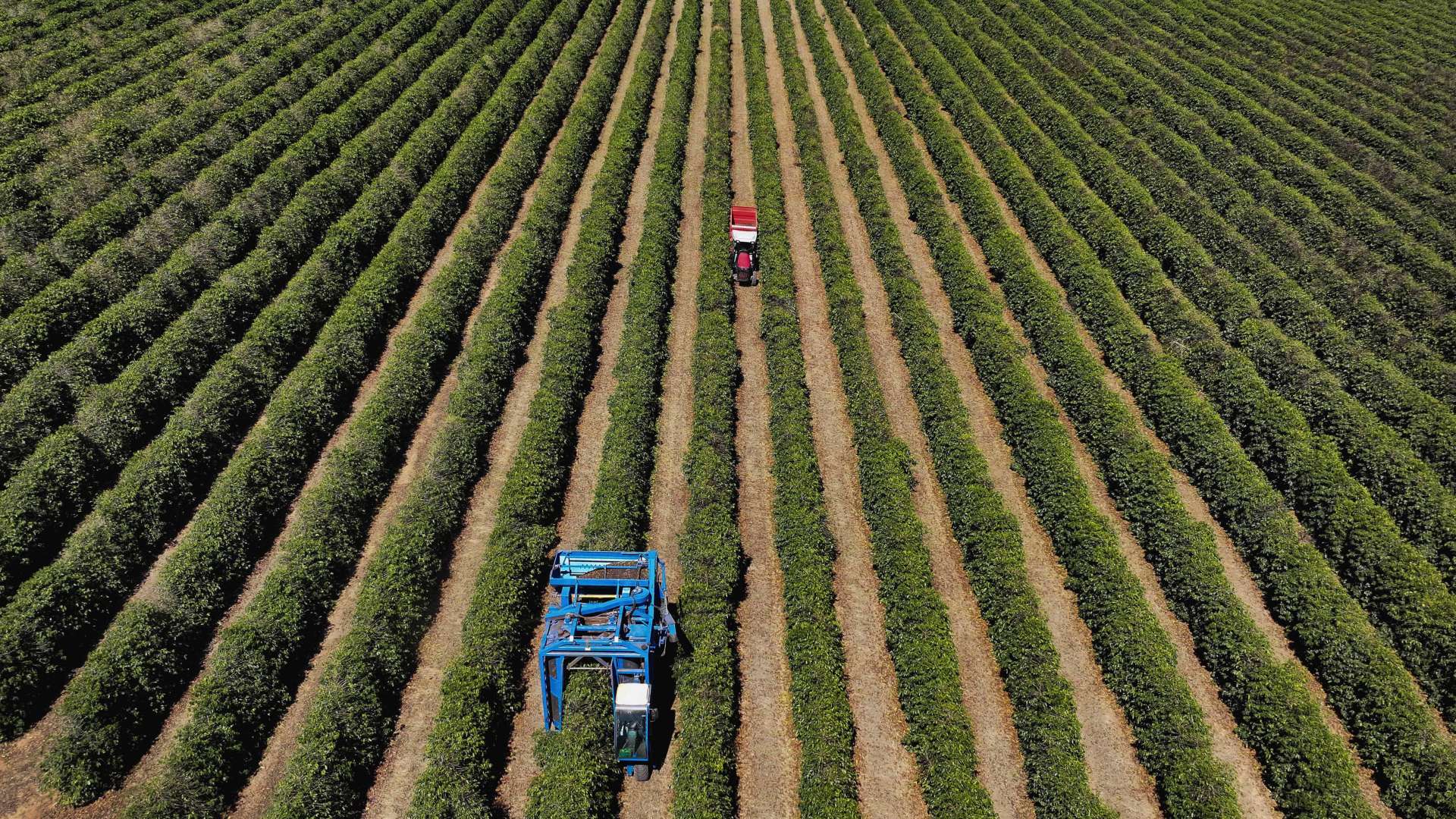 中美農業摩擦升溫:美對中農產品出口腰斬,報復性關稅重擊美國中西部農業州