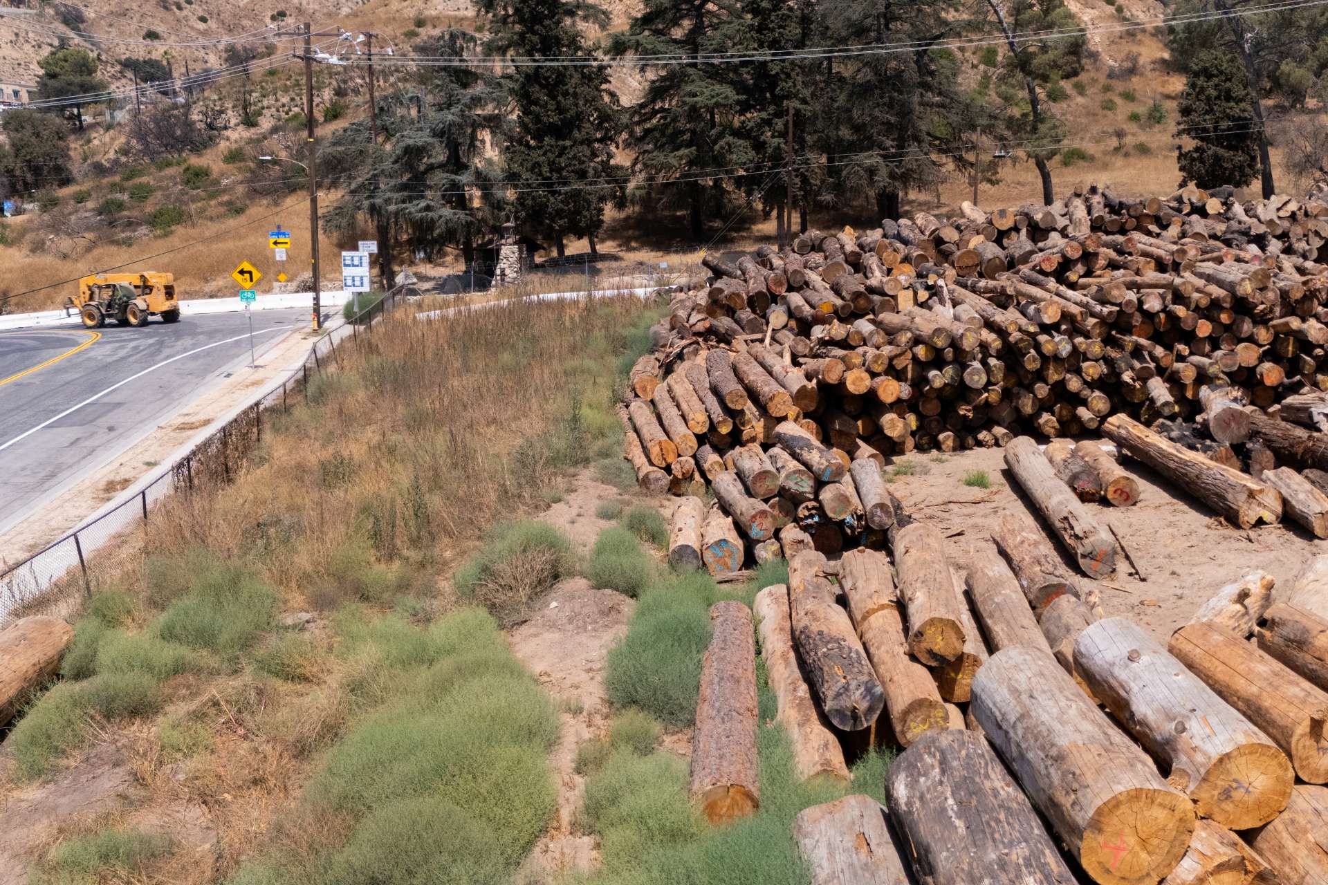 川普掀木材戰：加拿大、墨西哥、越南全中箭