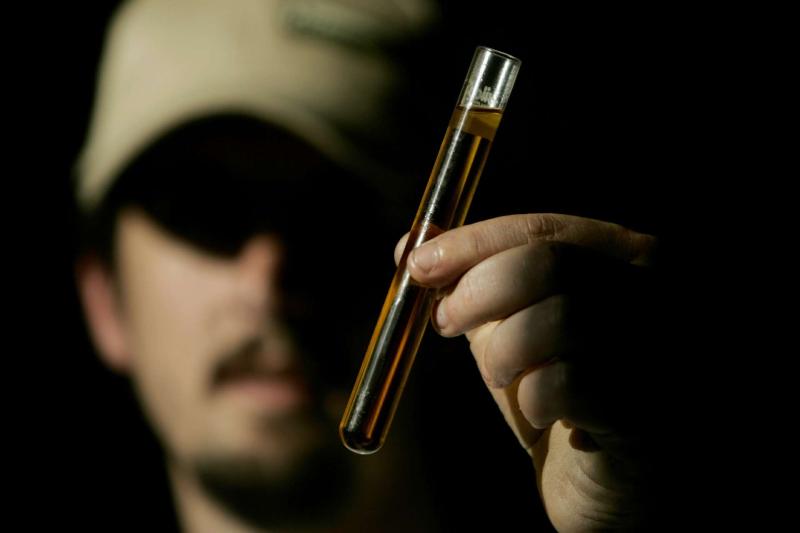 新研究指出：加州使用過時的碳排數據　嚴重低估美國大豆生質柴油的減碳潛力