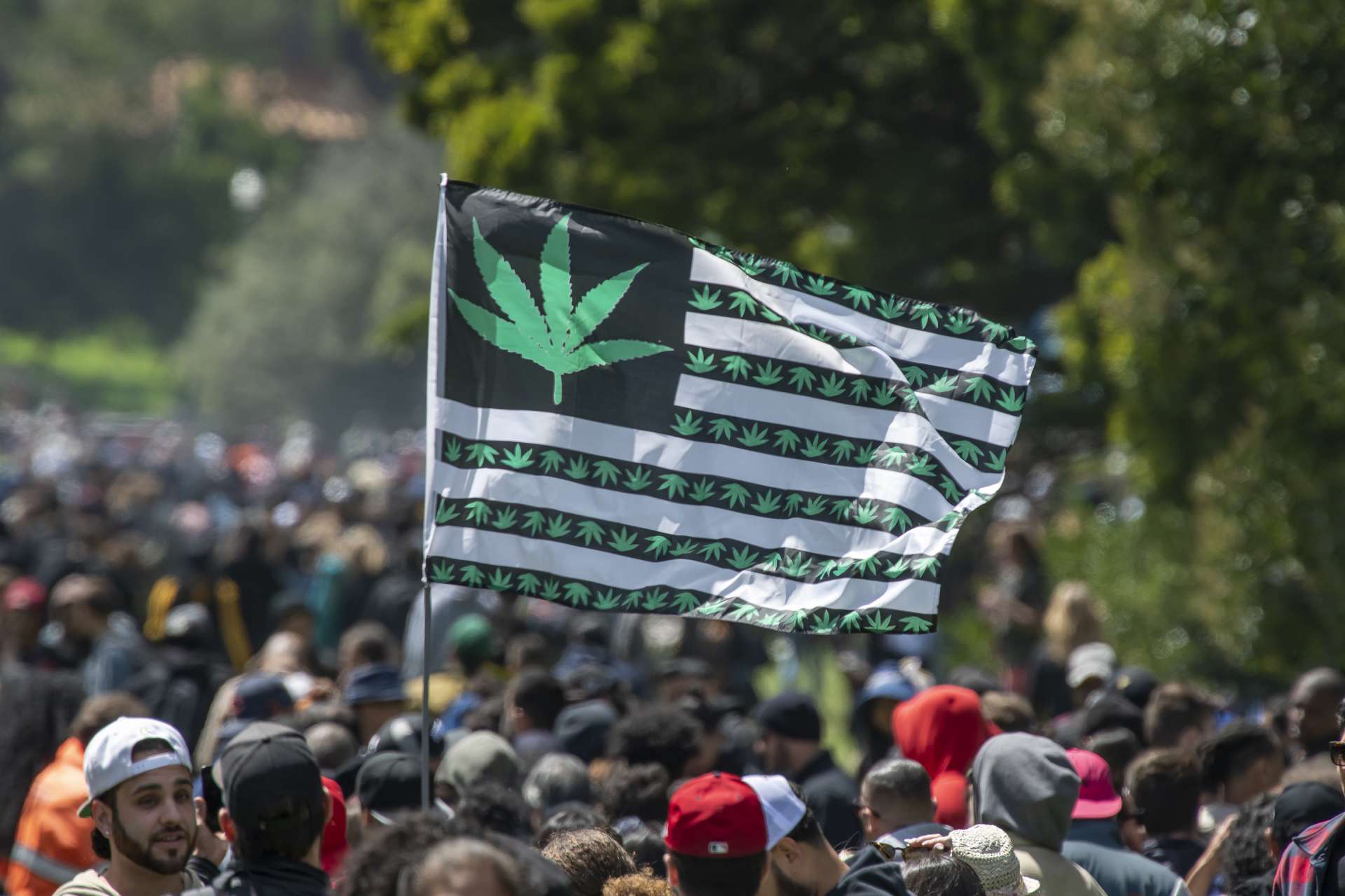 川普擬重分類大麻為三級藥物　大麻股應聲暴漲逾三成