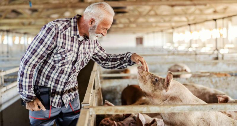 曾在中國養豬賠慘，如今翻身AI大贏家！這檔「博通概念股」外資回頭買...總編親授：拉回均線就是甜蜜點
