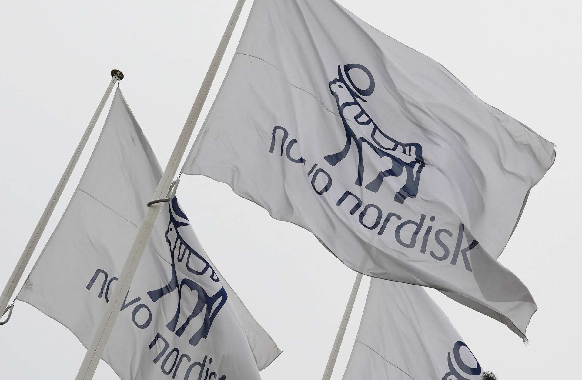 諾和諾德美國推出口服Wegovy　每月149美元搶攻自費減重市場