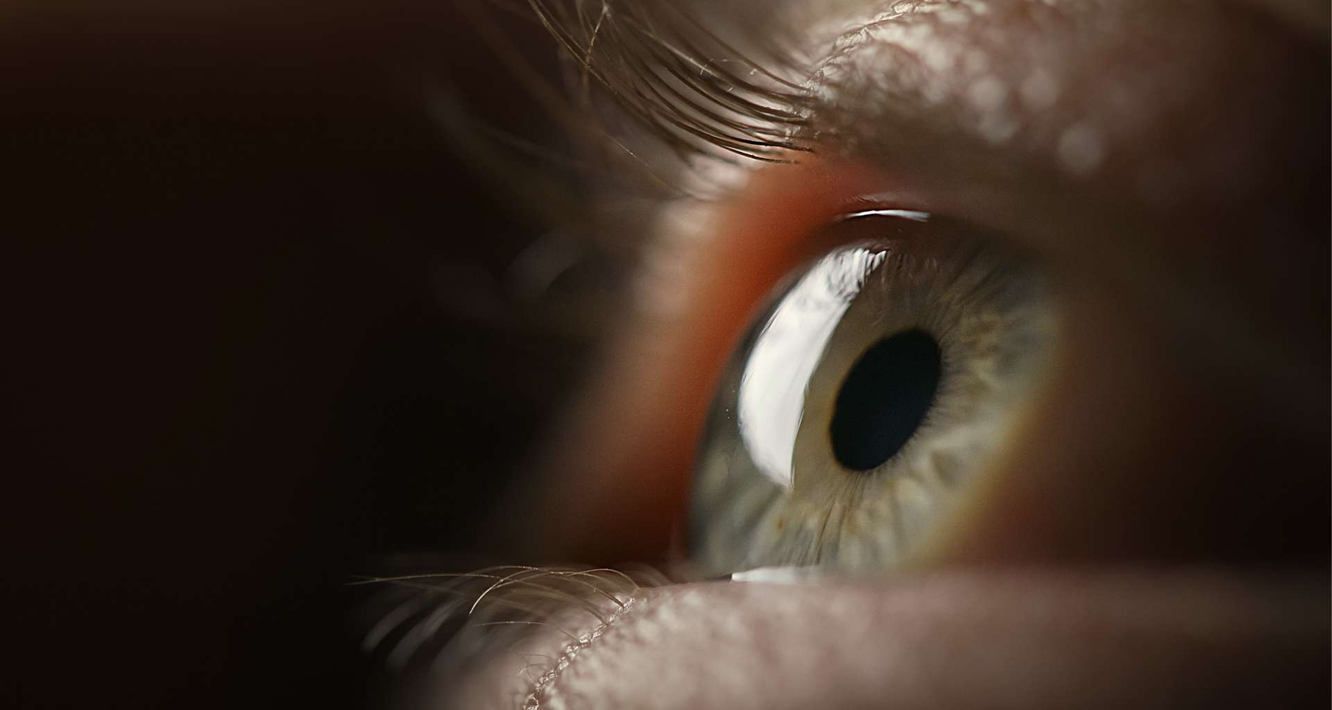 特斯拉、機器人都要它的「眼睛」！這檔光學股惦惦吃三碗公...鄭廳宜：菲律賓擴產大補，長線保護短線