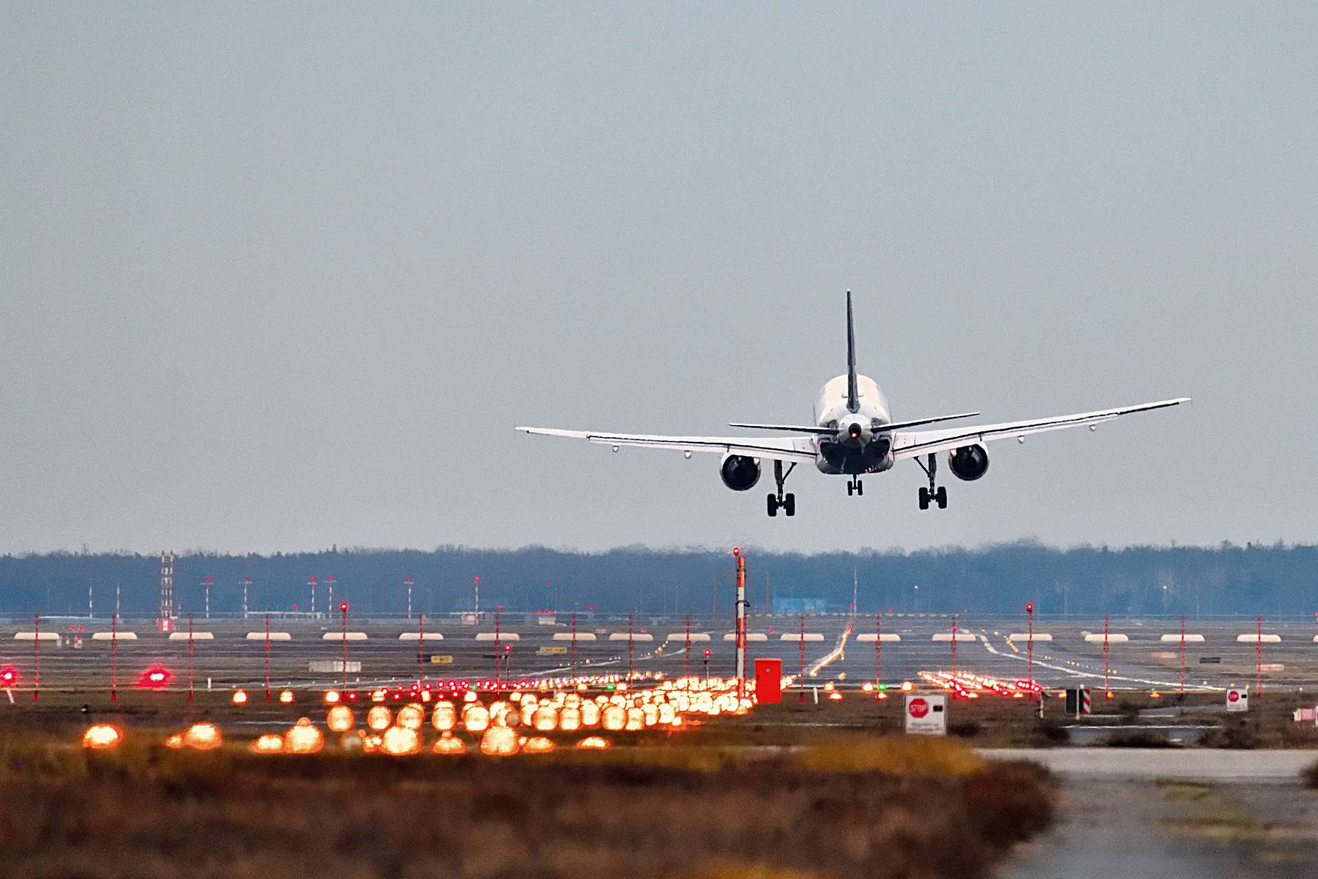 全球航空客運需求續強，2月總旅運量年增率6.1%