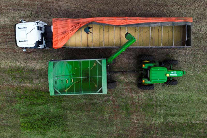 油氣價格飆升 生質能源股成資金焦點