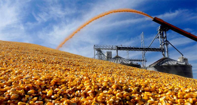 農糧｜玉米強勢反彈！2025年CBOT穀物市場風向轉變？