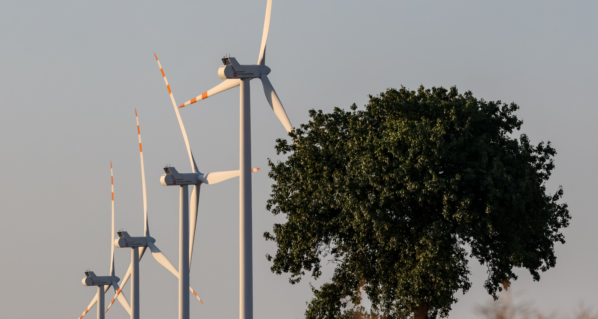 再生能源|波蘭風電計畫面臨重大風險,原因竟出在價格?