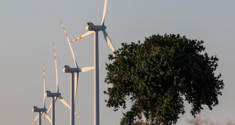 再生能源｜波蘭風電計畫面臨重大風險，原因竟出在價格？