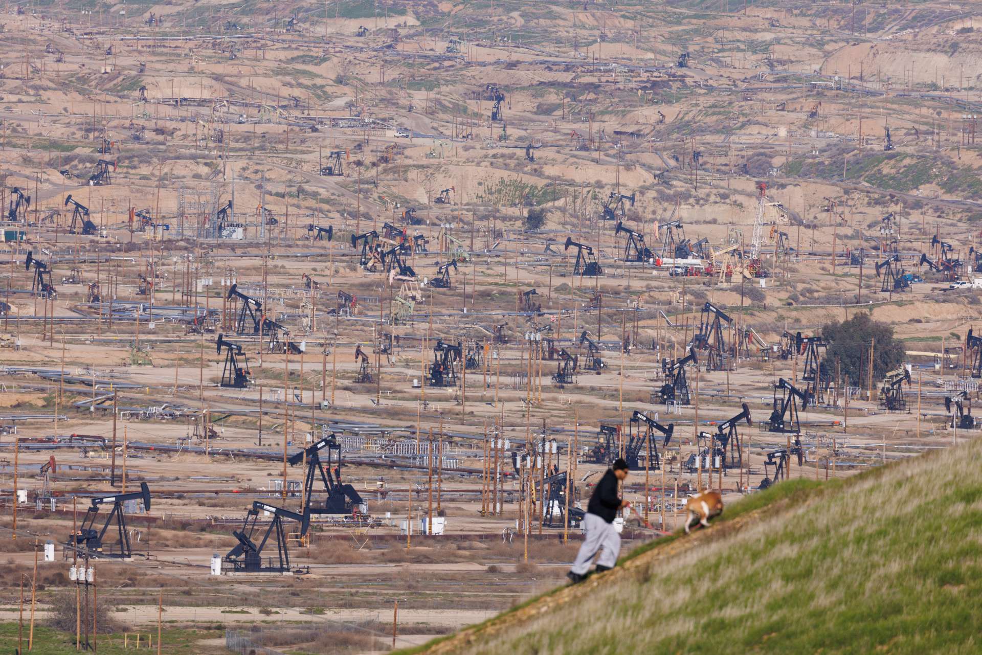 能源｜EIA與API數據皆利多，為何油價自七週高點油價下挫？