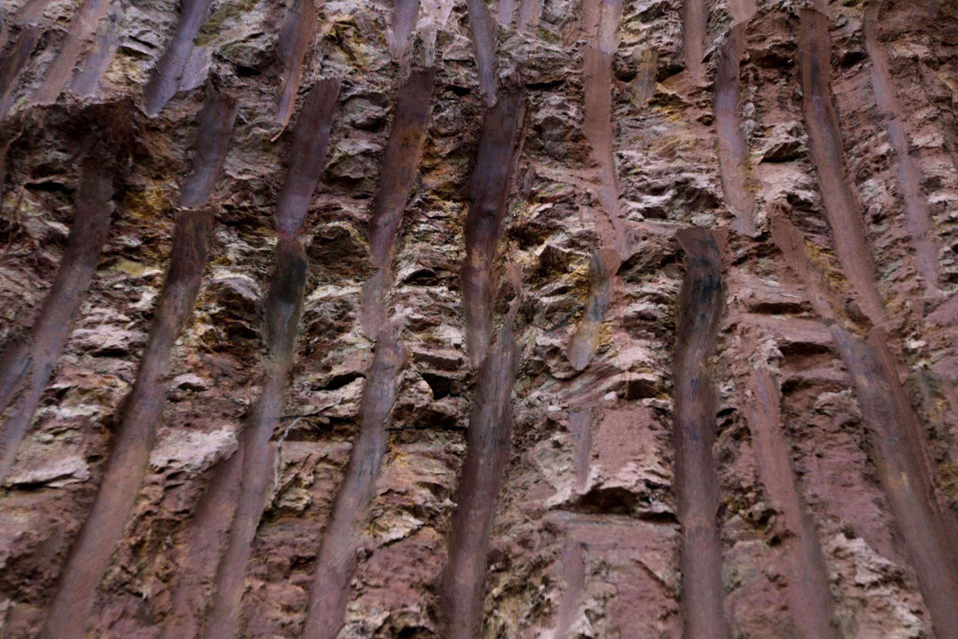 稀土｜中國出口管制成導火線，G7 擬設價格下限