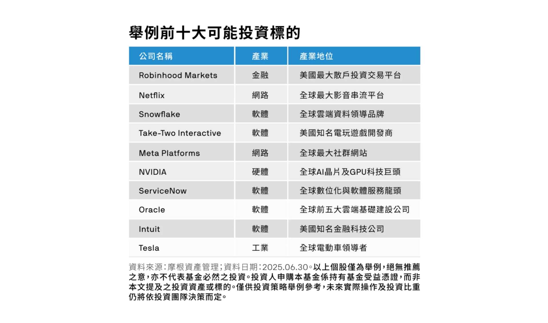 舉例 00989A 前十大可能投資標的成分股