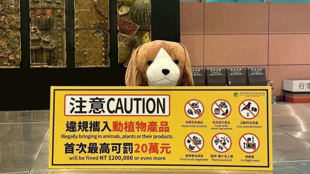 桃機公司：中秋雙十連假旅運估151萬人次 提醒旅客勿攜肉品以免受罰