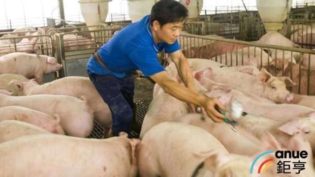 非洲豬瘟禁宰運 許舒博:暫忍10幾天還好、肉品業者認為短期影響有限