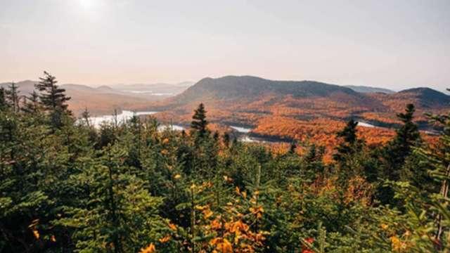 碳交所首度引進加強森林經營碳權專案 協助企業達成淨零排放