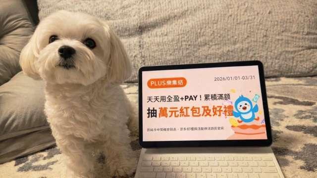 毛孩數超車孩童！全盈+PAY串聯保險與消費回饋 卡位600億寵物商機