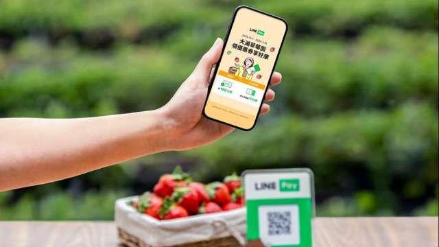 採草莓免帶現金！LINE Pay助大湖農村轉型 滲透率破95%、交易額增15倍